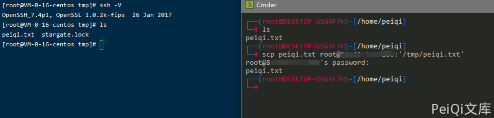 image-20220209125535740