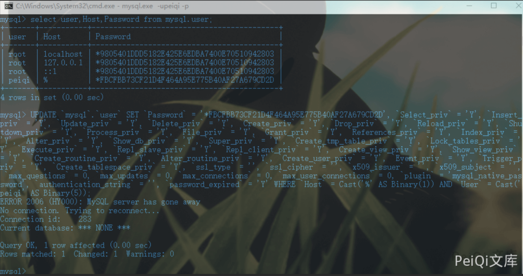 image-20220209111109474