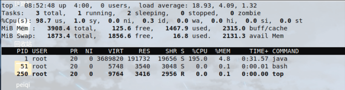 image-20220209121556989