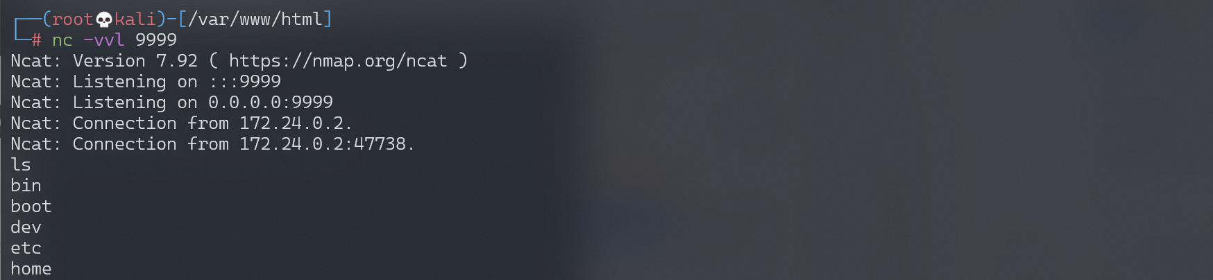 image-20220223125747062